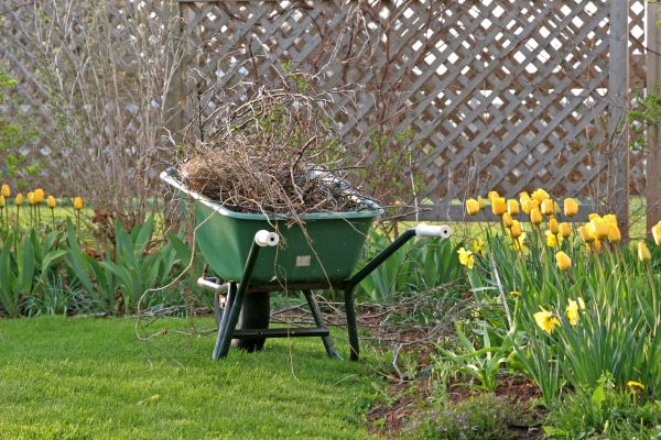 Flower Bed Cleanup Service in Taylor