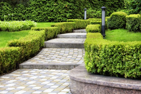 Backyard Remodeling in Taylor