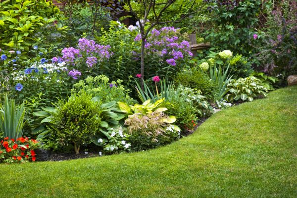 Flower Bed Service in Taylor