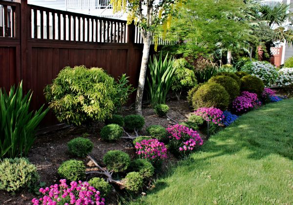 Garden Care Service in Taylor