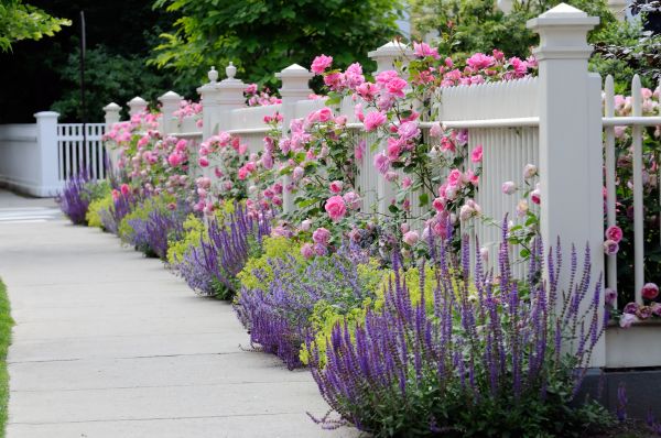 Garden Handyman Service in Taylor