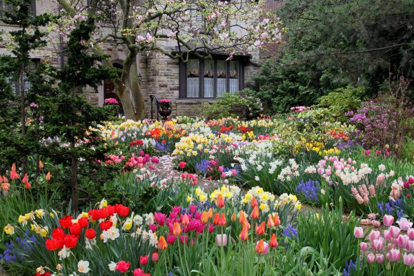 Garden Maintenance Service in Taylor