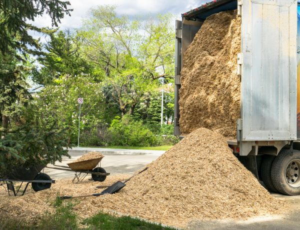 Wood Chips Delivery in Taylor