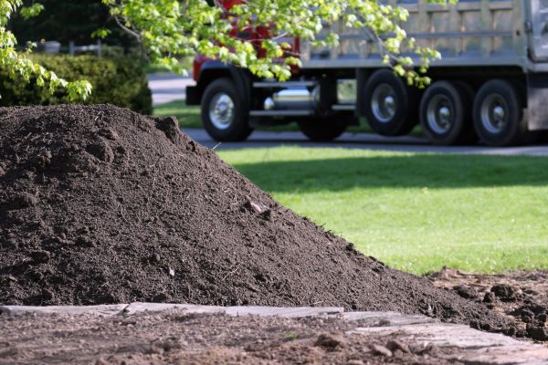 Yard Dirt Delivery in Taylor