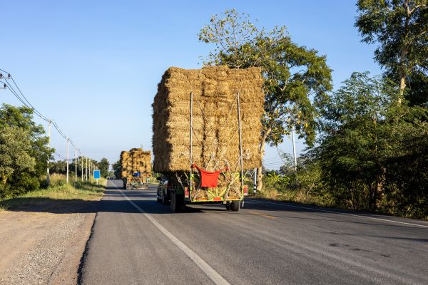Pine Straw Delivery in Taylor