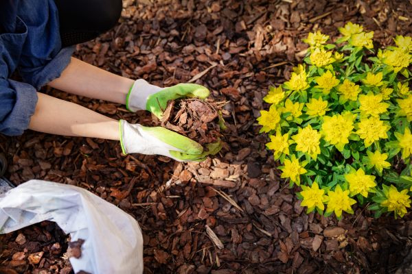 Garden Mulching in Taylor