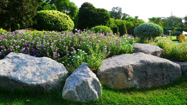 Boulder Landscaping in Taylor