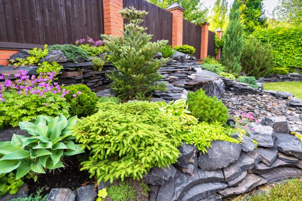 Landscape Remodeling in Taylor
