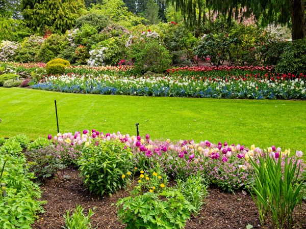 Residential Landscape Design in Taylor