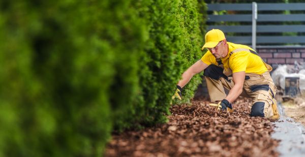 Cypress Mulch Installation in Taylor