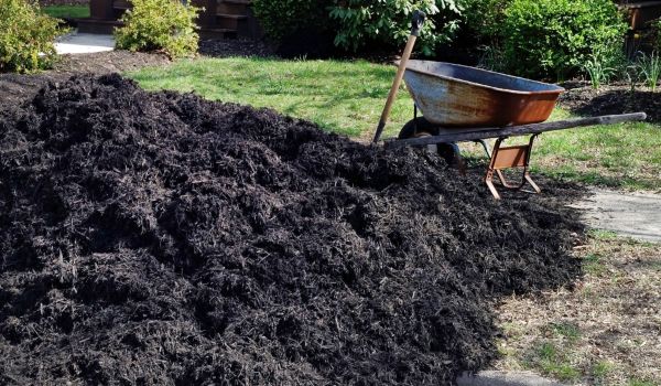 Black Mulch Installation in Taylor