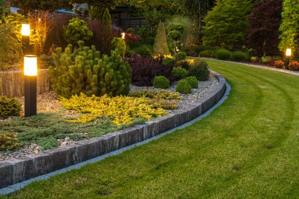 Garden Repair Service in Taylor