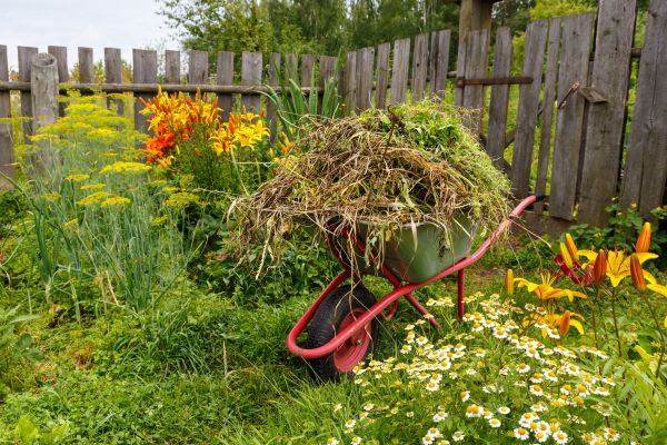 Garden Cleanup Service in Taylor