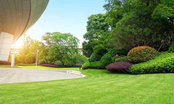 Business Landscape Design in Taylor