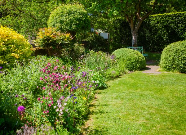 Yard Landscaping Service in Taylor