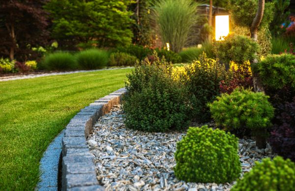 Landscaping Service in Taylor