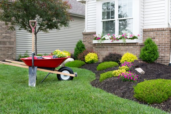 Tree And Shrub Planting in Taylor