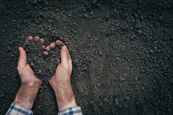 Soil Installation in Taylor