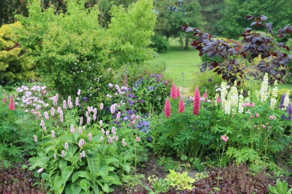 Flower Bed Planting in Taylor