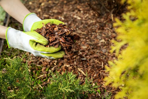 Garden Mulch Delivery in Taylor