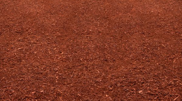Red Mulch Delivery in Taylor