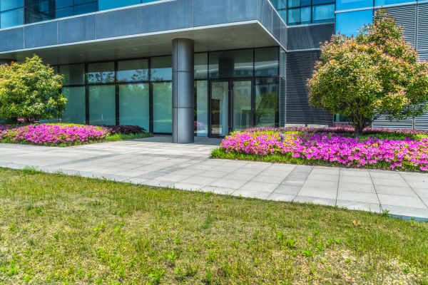 Commercial Gardening in Taylor