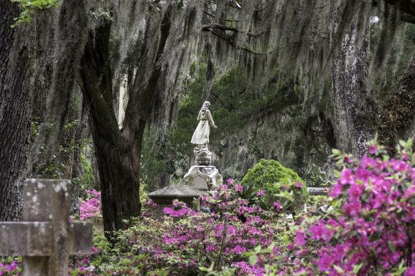 Cemetery Landscaping in Taylor