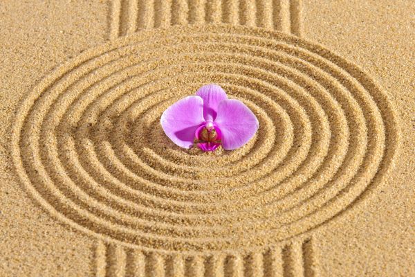 Sand Garden Landscaping in Taylor