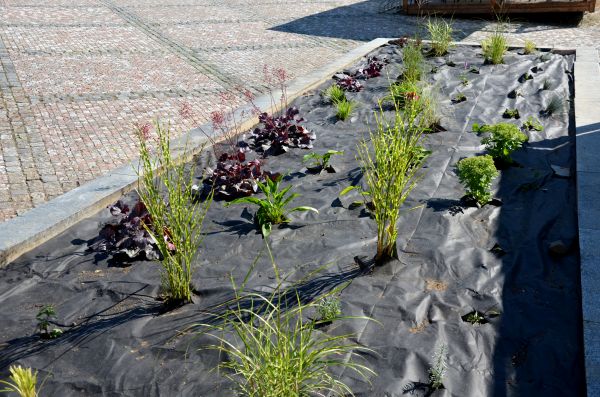 Landscape Fabric Installation in Taylor