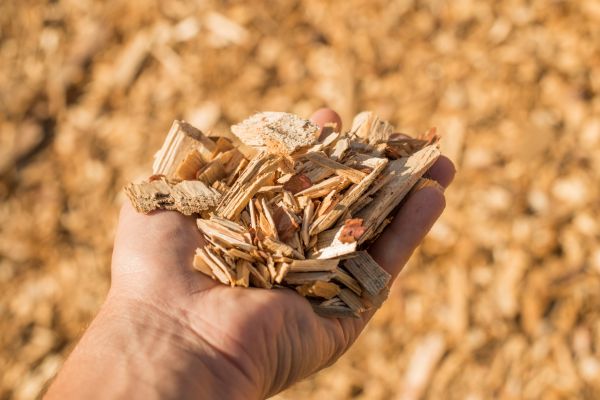 Wood Chips Spreading in Taylor