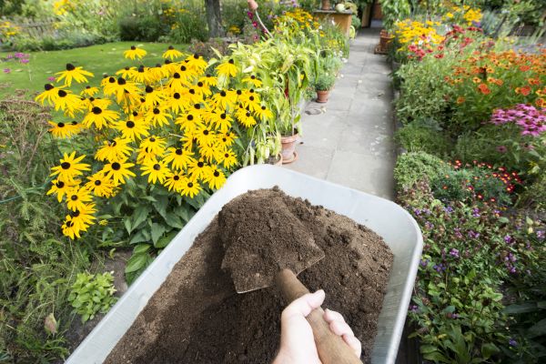 Topsoil Replacement in Taylor