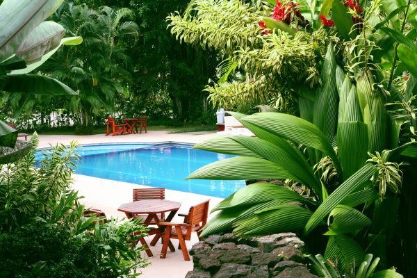 Pool Area Landscaping in Taylor