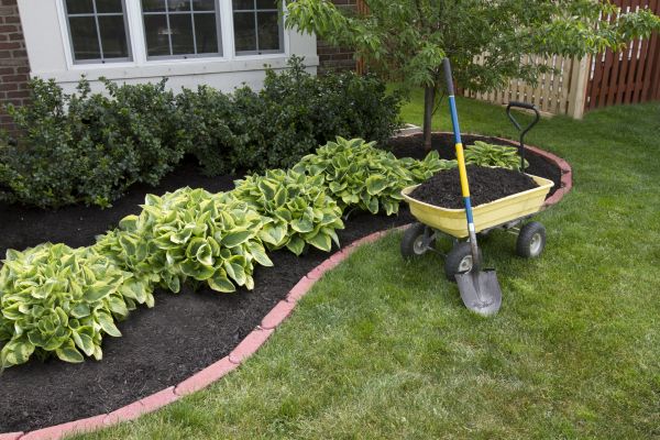 Landscape Mulching in Taylor