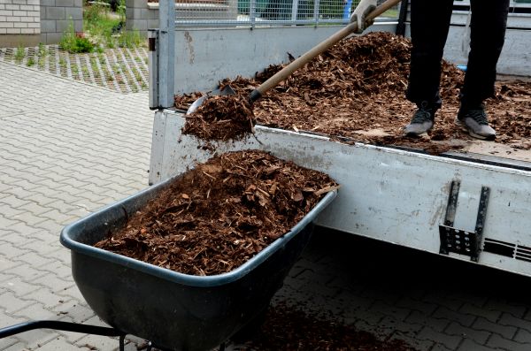 Playground Mulch Delivery in Taylor