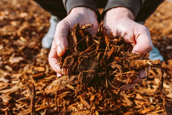 Bark Chips Delivery in Taylor