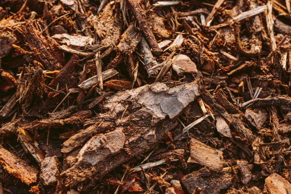 Bark Mulch Delivery in Taylor