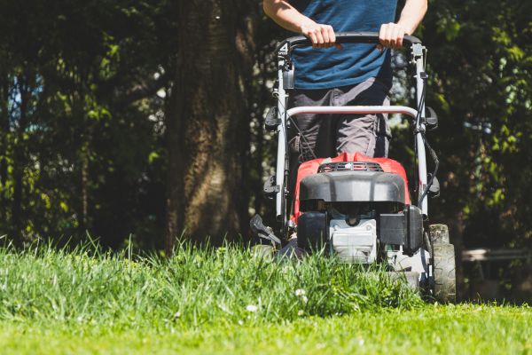 Garden Trimming Service in Taylor
