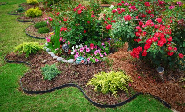 Floral Landscaping in Taylor