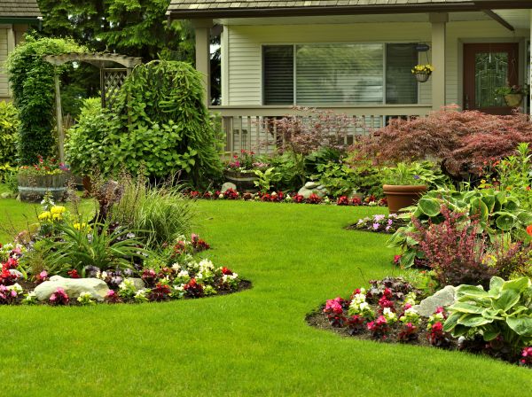 Flower Garden Planting in Taylor