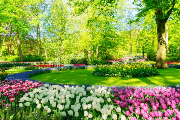 Flower Landscaping in Taylor