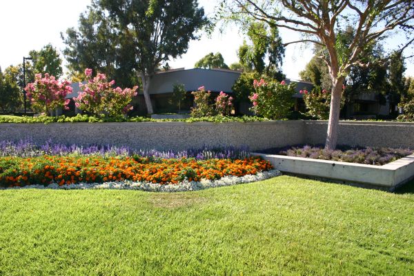 Commercial Landscape Service in Taylor