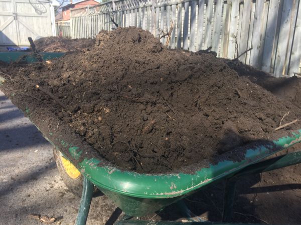 Residential Dirt Delivery in Taylor