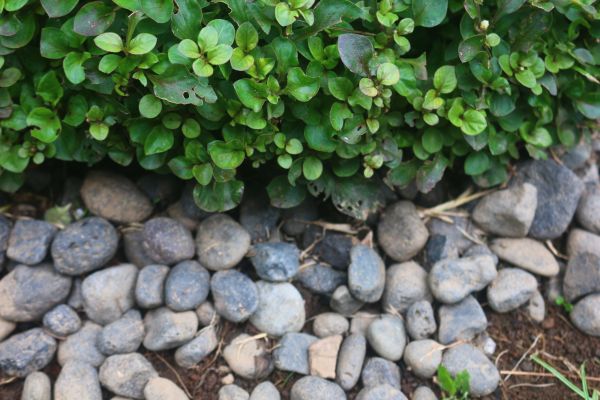 River Stone Installation in Taylor