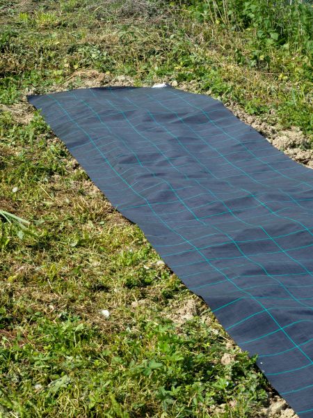 Weed Suppressant Installation in Taylor