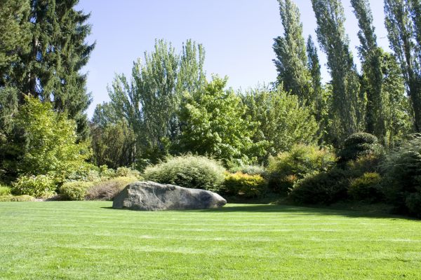 Yard Enlargement in Taylor