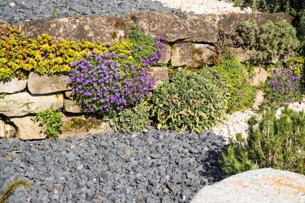 Landscaping Rocks Installation in Taylor