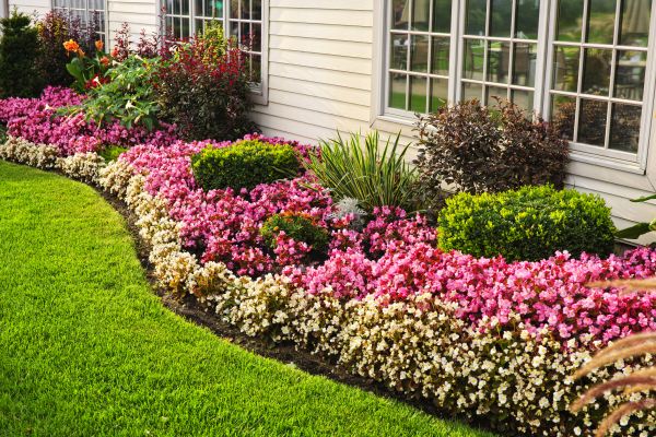 Garden Landscape Design in Taylor