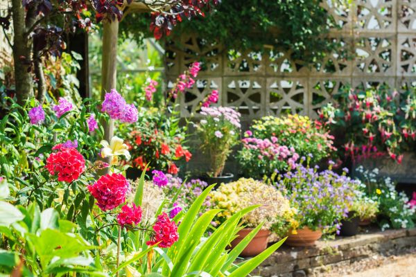 Spring Garden Maintenance in Taylor