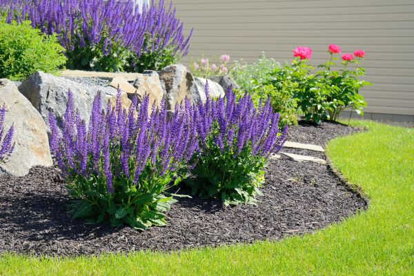 Landscape Planting Service in Taylor