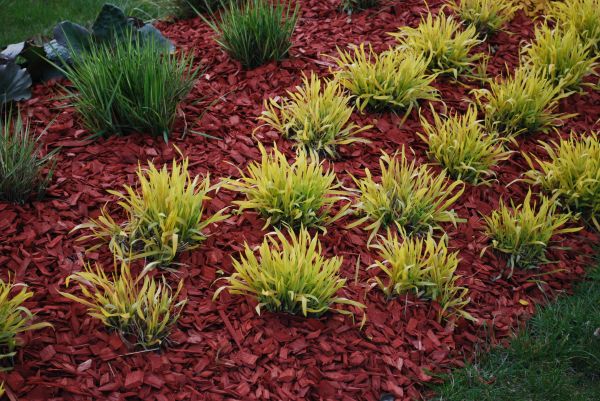 Red Mulch Installation in Taylor